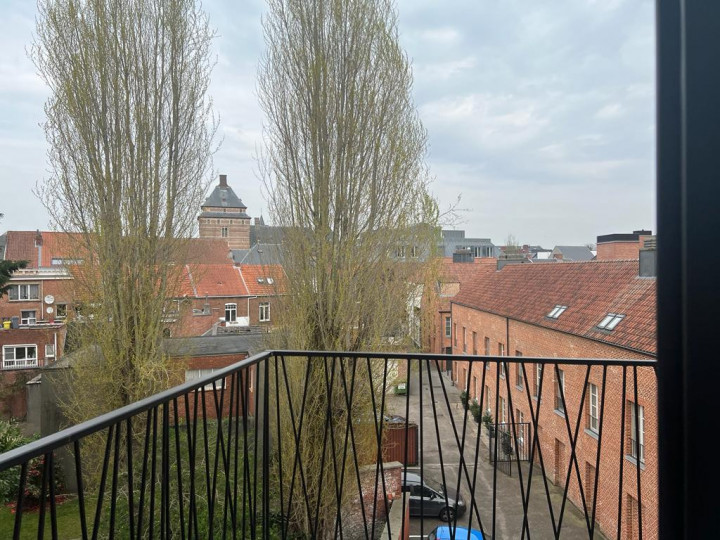 30 Afbeelding Van Whatsapp Op 2023 07 31 Om 10.57.28